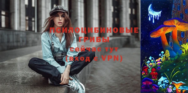 apvp Володарск