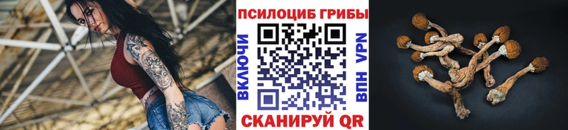 Псилоцибиновые грибы GOLDEN TEACHER  Балаково 